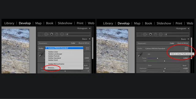 Chỉnh chế độ camera profile khi sử dụng Lightroom