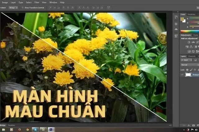 Chú ý chỉnh lại màn hình chuẩn màu