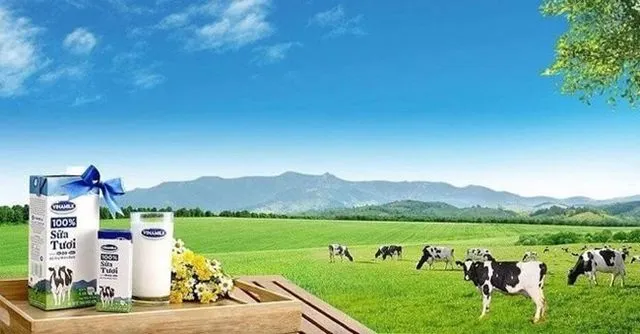 Nhờ áp dụng mô hình 3C, Vinamilk đã có sự phát triển mạnh mẽ, được khách hàng yêu thích Nhờ áp dụng mô hình 3C, Vinamilk đã có sự phát triển mạnh mẽ, được khách hàng yêu thích