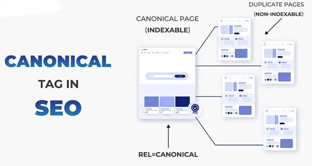 Thẻ Canonical góp phần giúp SEO hiệu quả hơn Thẻ Canonical góp phần giúp SEO hiệu quả hơn