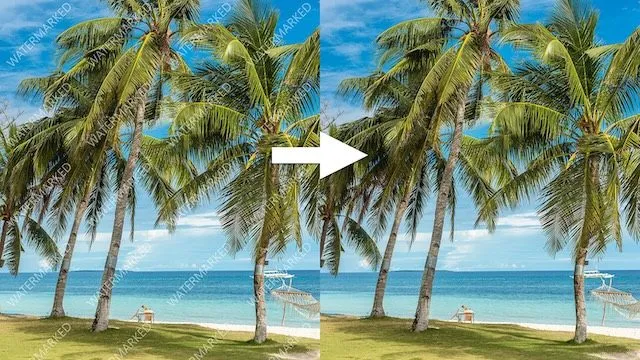 Mục đích sử dụng của Watermark Mục đích sử dụng của Watermark