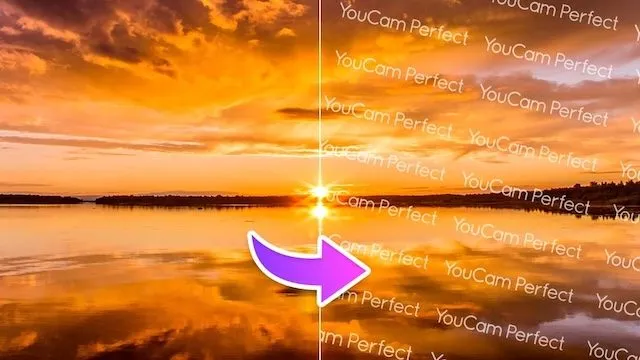 Những loại Watermark thường gặp hiện nay Những loại Watermark thường gặp hiện nay